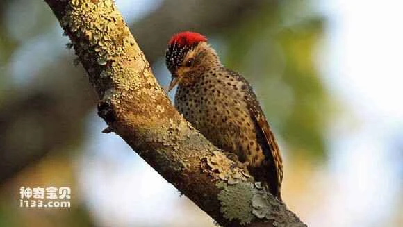 2023060116648975.jpg cbb6d84443a98226de8c4b9a8182b9014b90ebb5_九雷图片转换器.jpg