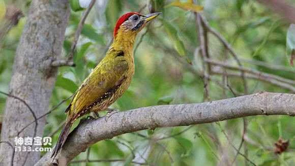 2023060391912232.jpg db80dd109313b07ed3fdd18407d7912396dd8c69_九雷图片转换器.jpg