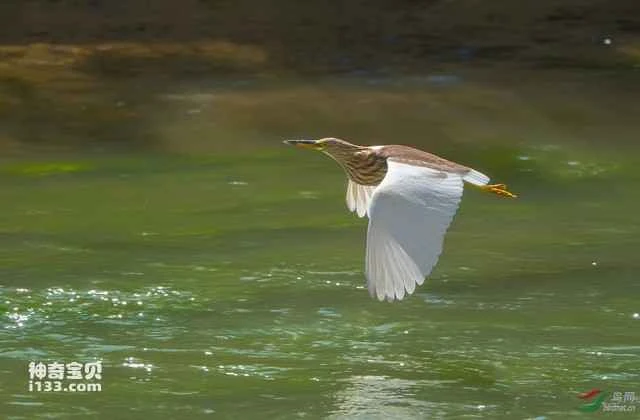 1193c25a84cd9f643dde8df894a6c85a (2).jpg