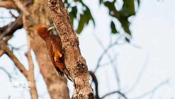 2023062212795132.jpg 28883e3c269759eee3dbe93eb9fb43166c22df34_九雷图片转换器.jpg