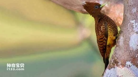 2023062211595161.jpg f54bd9013af33a87e18c89efcd5c10385143b5d1_九雷图片转换器.jpg