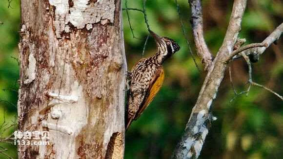 2023070913793287.jpg b7785f4f251f95ca09c7e049c2177f3e66095296_九雷图片转换器.jpg