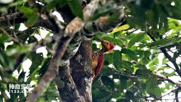 2023071230909923.jpg 304a3c42fbf2b211042f822fc78065380dd78ec5_九雷图片转换器.jpg