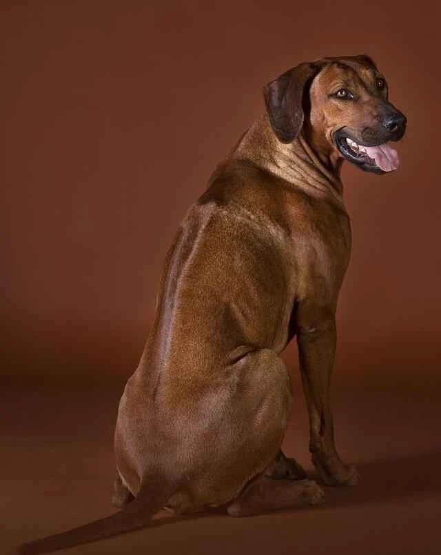 0adff176f4a2a0bd37533b7750a8a85b (1) (1).jpeg