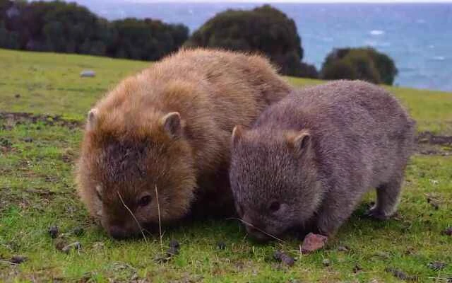 2024090421207360.jpg bb34923bb5d9dc357a9e2352c13313a1 (1).jpg