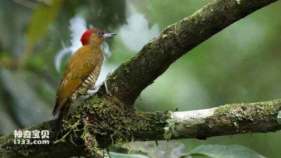 2023070520284732.jpg aba6dc1d8701a18b1ac6f9ba952f07082938fe8e_九雷图片转换器.jpg