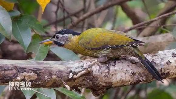 2023060365748403.jpg db9fc465034f78f05ee21b7f72310a55b1191cc0_九雷图片转换器.jpg