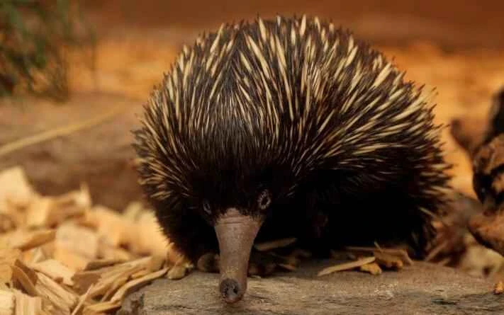 5ad922dc845b14d130dc58dce441cd34 (1).jpeg