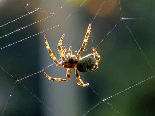 dd830cc4cfb698f2050a2c2affdd8ed8 (1).jpg