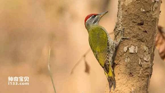 2023060315656272.jpg b7785f4f251f95cab74f1e3ac2177f3e66095273_九雷图片转换器.jpg