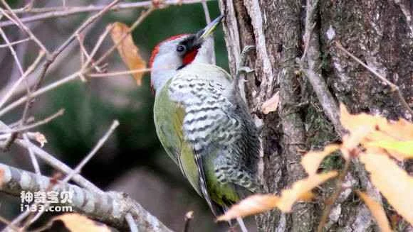 2023060416473021.jpg b020f723720e0cf331dcba770146f21fbf09aa83_九雷图片转换器.jpg