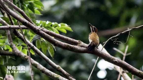 2023052822247442.jpg 5f4c0808c93d70cf7efa7e1cf3dcd100baa12b16_九雷图片转换器.jpg