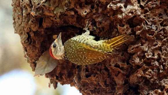 2023060111784120.jpg 9369df50f8198618280a8f3941ed2e738ad4e6b5_九雷图片转换器.jpg