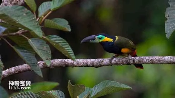 2023052523567948.jpg 71a8eeca39dbb6fd1da523000224ab18962b3789_九雷图片转换器.jpg