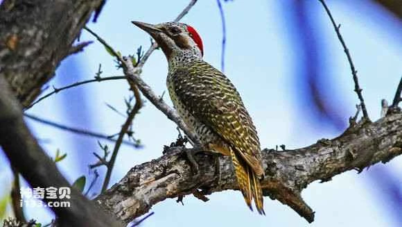 2023060185579431.jpg 9369df50f8198618c7a3583541ed2e738ad4e60b_九雷图片转换器.jpg