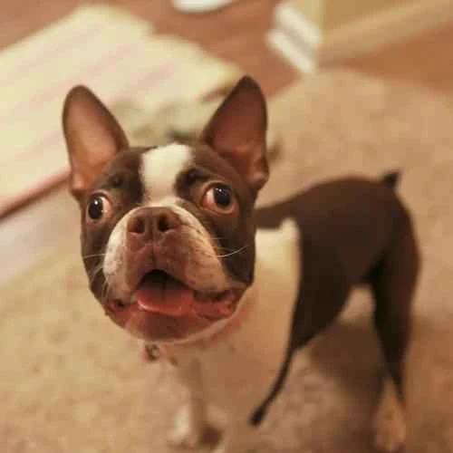 2024082912074116.jpeg f2dd9181d04c49590ca88c8b170be628.jpeg