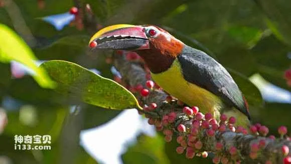 2023052218017144.jpg 83be13d88d1001e99549172cb30e7bec54e7970b_九雷图片转换器.jpg