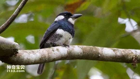 2023050816031774.jpg 8b166c4e78f0f736805149c00055b319eac41332_九雷图片转换器.jpg