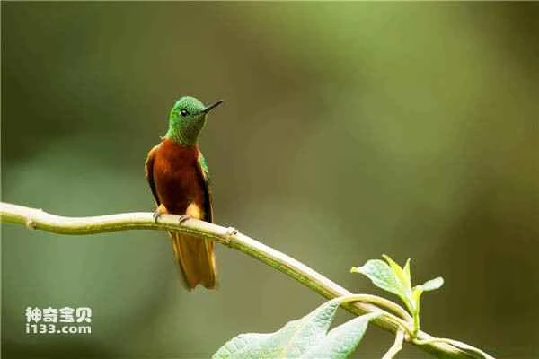 2023032139020757.jpg 588214f1cf5571105c915495c3afd125_九雷图片转换器.jpg