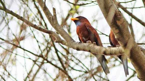 2023042110175366.jpg b361df7fca806538c51b96c59ddda144af3482e2_九雷图片转换器.jpg