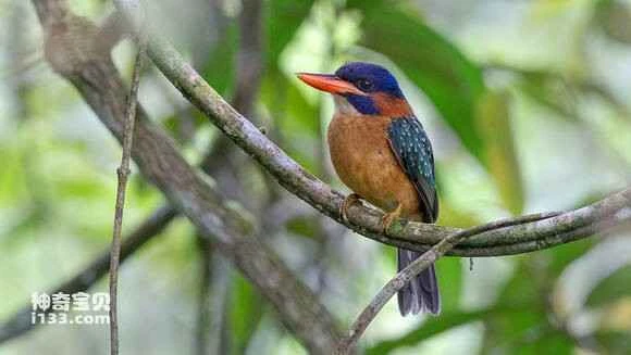 2023042513597172.jpg 477ba63c70cf3bc713a16303da00baa1cc112a2b_九雷图片转换器.jpg