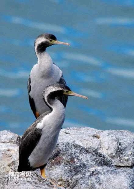 2023030942664511.jpg 6d81800a19d8bc3e78bee9bb888ba61ea8d34509_九雷图片转换器.jpg