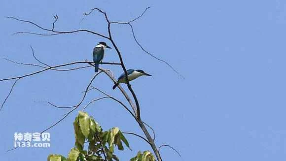 2023042870756621.jpg 98ebc6004c086e0633365c3e0f087bf40bd1cb98_九雷图片转换器.jpg