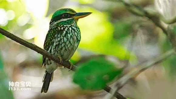 2023042518612501.jpg 2c865eaccbef76090d3b397025dda3cc7dd99ea4_九雷图片转换器.jpg