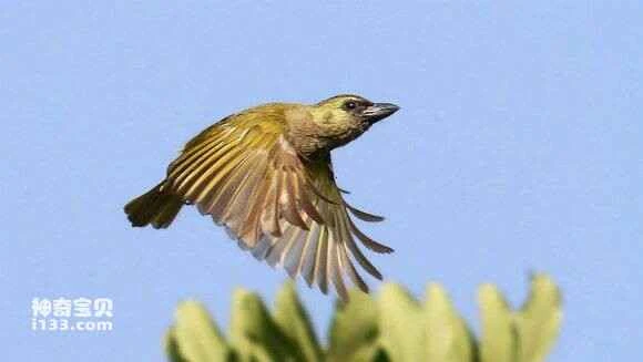 2023051436519905.jpg 2c81b8cb7bcb0a461b717cfc6163f6246a60af1c_九雷图片转换器.jpg