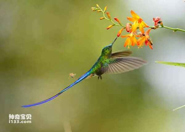 2023032014798297.jpg e4a6b5d5619a4a937b048140852207a2_九雷图片转换器.jpg