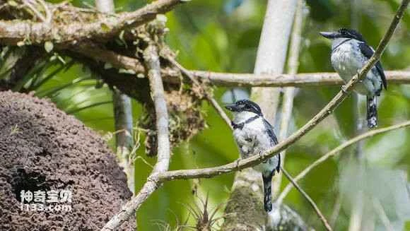 2023050842786118.jpg 2a096d097bf40ad13817c0225d2c11dfabeccef7_九雷图片转换器.jpg