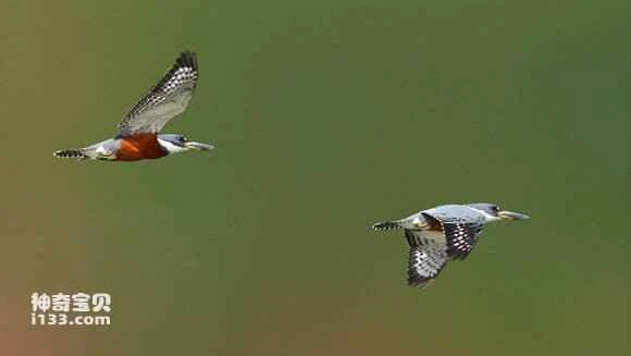 2023043038783250.jpg 304a3c42fbf2b2118de71b32c78065380dd78e70_九雷图片转换器.jpg