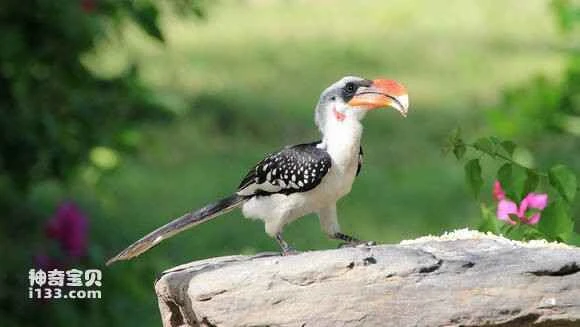 2023050418047814.jpg 53ffc6763912b31ba4b2a1108818367adbb4e1a4_九雷图片转换器.jpg