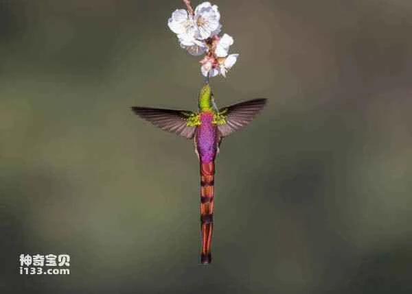 2023040725422087.jpg 252c8433380b044fb2cb8566b524a9e1_九雷图片转换器.jpg