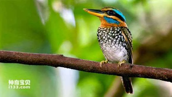 2023042511825685.jpg 9c43336134a85edffd0a5fcc42540923df5475ca_九雷图片转换器.jpg