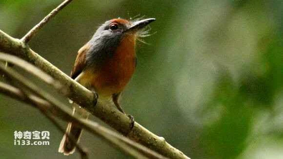 2023051180125611.jpg e88eaccfc3fdfc0352d6a27bde3f8794a5c2263e_九雷图片转换器.jpg