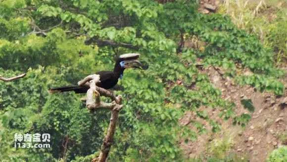 2023050711672726.jpg b7afce45ad345982a98b67bb02f431adcbef840d_九雷图片转换器.jpg