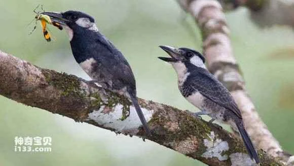 2023050873956004.jpg dc71fd44d688d43f80b49433771ed21b0ff43b40_九雷图片转换器.jpg