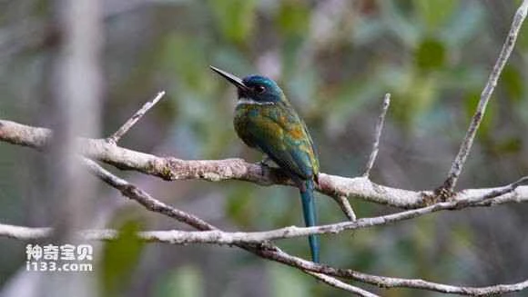 2023050813813922.jpg 3f428625b899a90113fc48f717950a7b0008f59d_九雷图片转换器.jpg