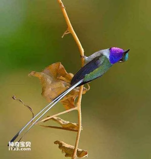 2023040869257428.jpg 02b18b29530f98e0b243176740e0ced6_九雷图片转换器.jpg