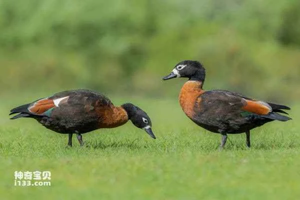 2023030719440306.jpg 9b3566ba2d9158fd3852dcee8ee1af74_九雷图片转换器.jpg