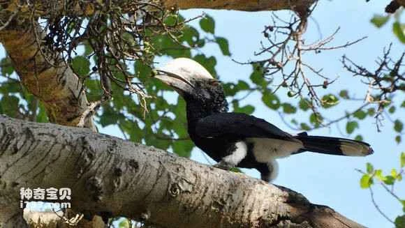 2023050356148489.jpg 08465b9a033b5bb5dffcb0353bd3d539b700bc41_九雷图片转换器.jpg