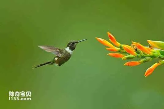 2023032590735134.jpg 8b13632762d0f703d51445a60cfa513d2697c522_九雷图片转换器.jpg