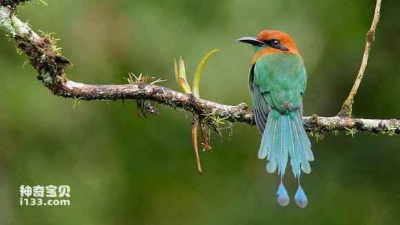 2023042411135236.jpg 8f239cdfb48f8c548ceb12c831292df5e1fe7f94_九雷图片转换器.jpg