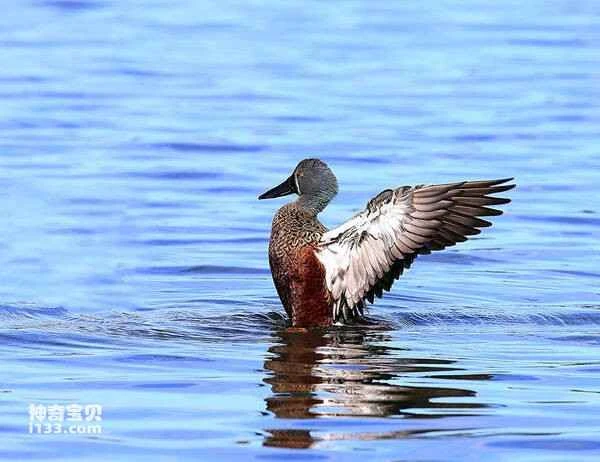 2023030282022267.jpg a535761d49d1659dd99a25b4054a0931_九雷图片转换器.jpg