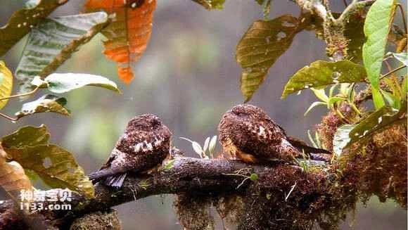 2023041318275778.jpg 304a3c42fbf2b2118e7800abc38065380dd78e70_九雷图片转换器.jpg