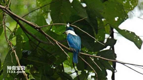 2023042814148900.jpg 2c81b8cb7bcb0a46a0bce84c6663f6246a60af98_九雷图片转换器.jpg