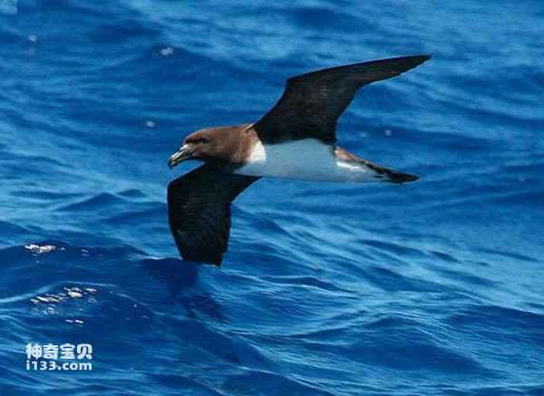 2023031015441399.jpg _九雷图片转换器.jpg