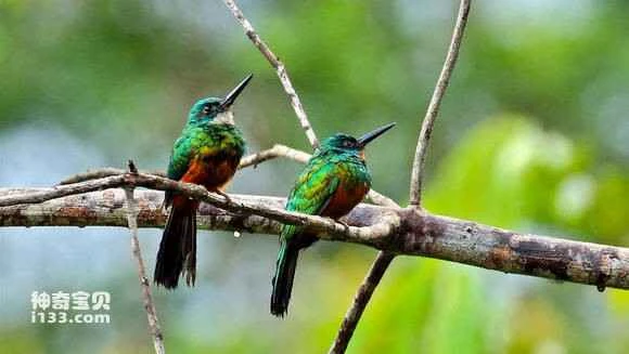 2023050819602065.jpg 733194f3b211931317c4ec716f380cd793238ddb_九雷图片转换器.jpg