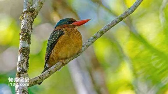 2023042516457197.jpg b22abe08b3de9c82a23c57606781800a18d84373_九雷图片转换器.jpg